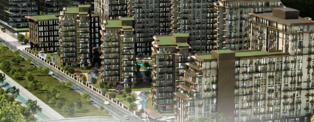 صورة توضيحية للعرض